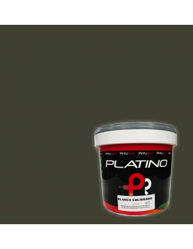 Pintura interior color gris cemento con plantilla del color 14 litros