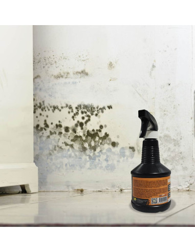 Limpiador de moho Renov Express SCALP imagen en pared