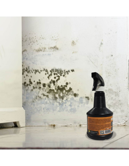 Limpiador de moho Renov Express SCALP imagen en pared