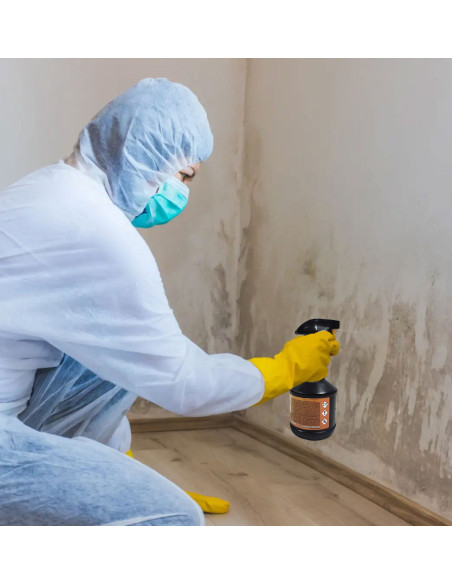 Limpiador de moho Renov Express SCALP imagen aplicación