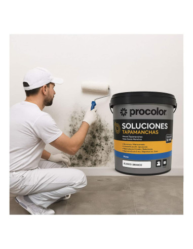 Pintura quitamanchas al agua paredes y techos PROCOLOR