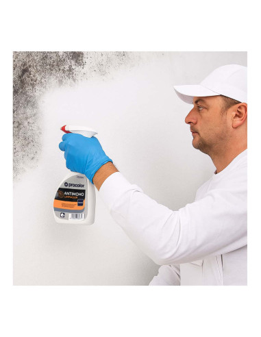 Limpiador de moho al agua incoloro PROCOLOR